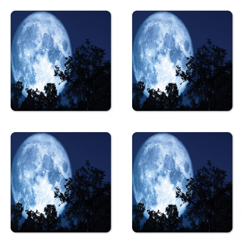 Moon Beaming in the Woods Coaster Set Of Four