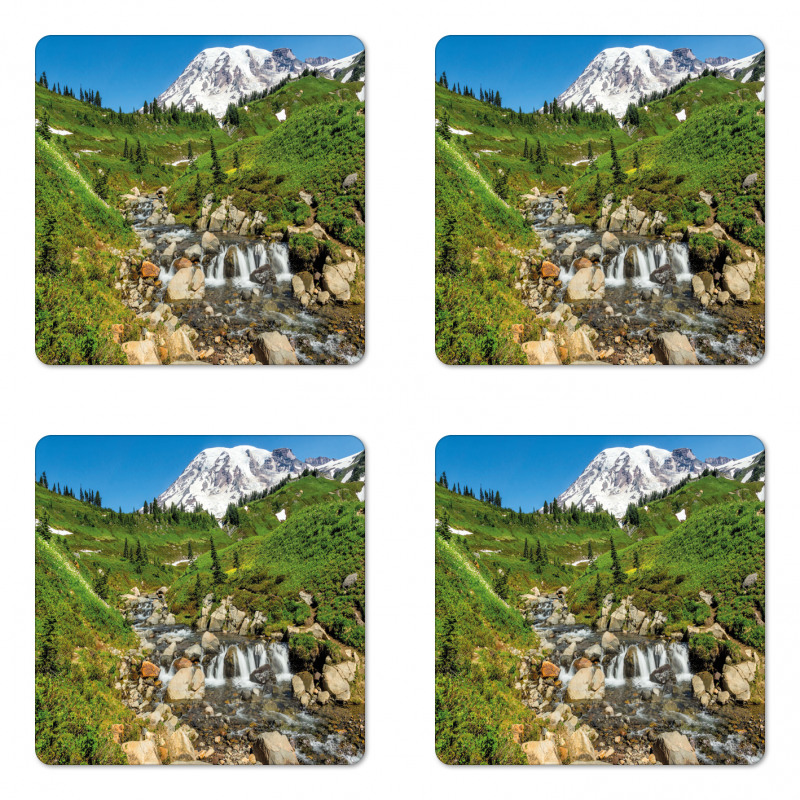 Edith Creek Mount Rainier Coaster Set Of Four