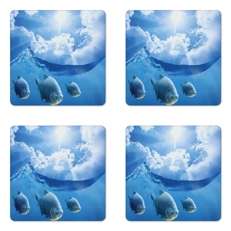 Fish Clouds and the Sun Coaster Set Of Four