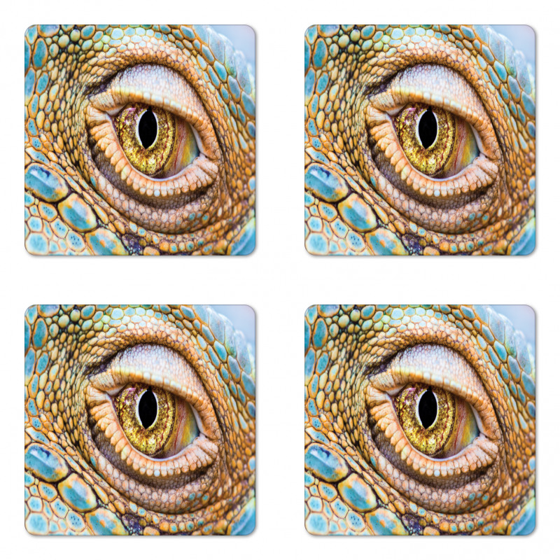 Tropic Reptiles Iguana Coaster Set Of Four