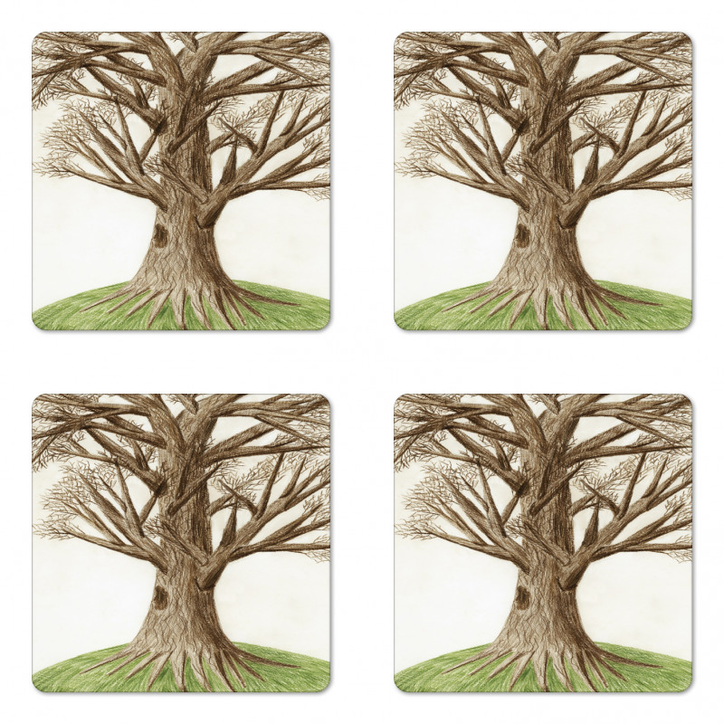 Sketch Nature Coaster Set Of Four