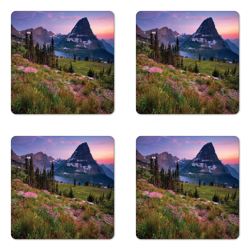 Wild Floral Alpine Coaster Set Of Four