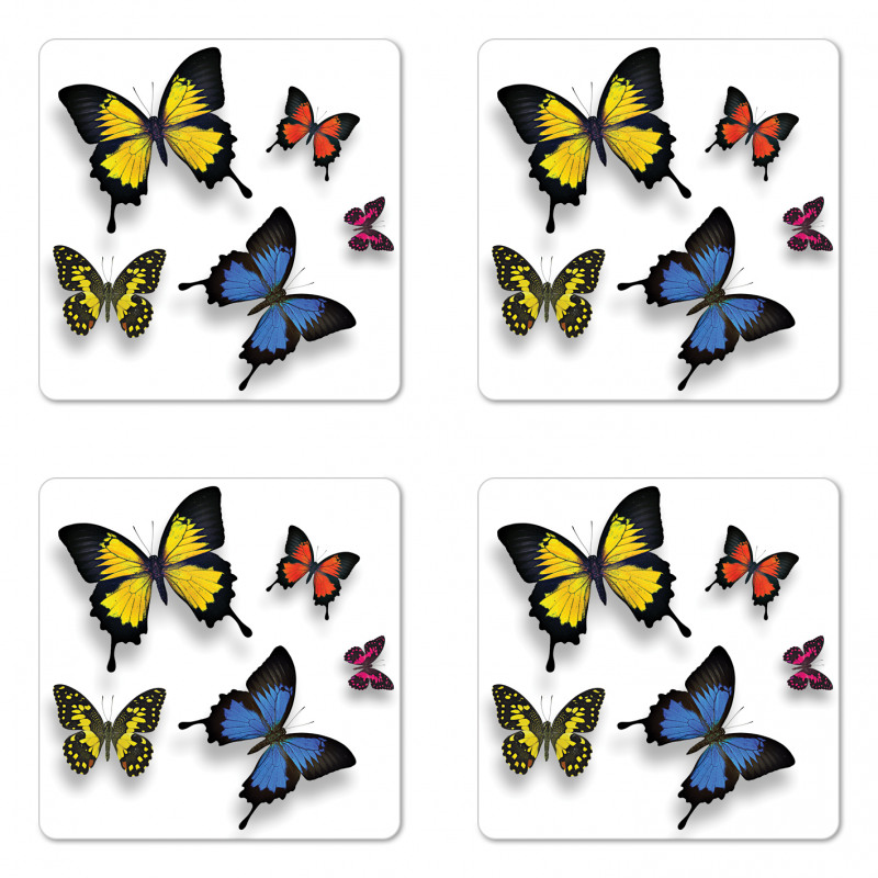 Nature Moths Wings Coaster Set Of Four