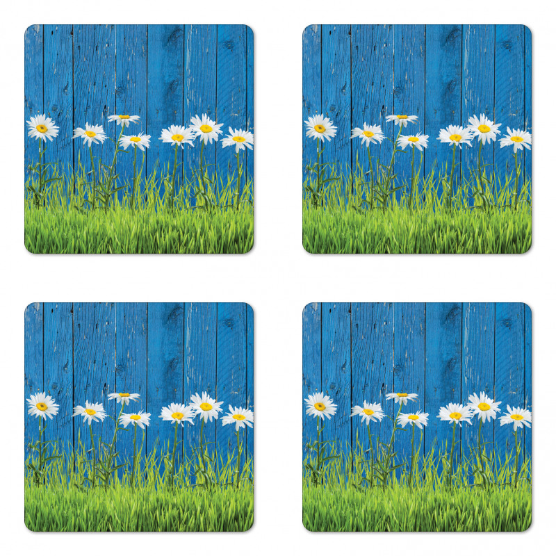 Spring Grass and Daisy Coaster Set Of Four