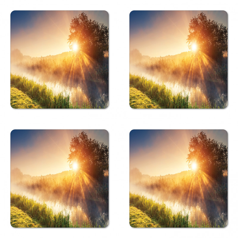 Tree Ukraine Rural Coaster Set Of Four