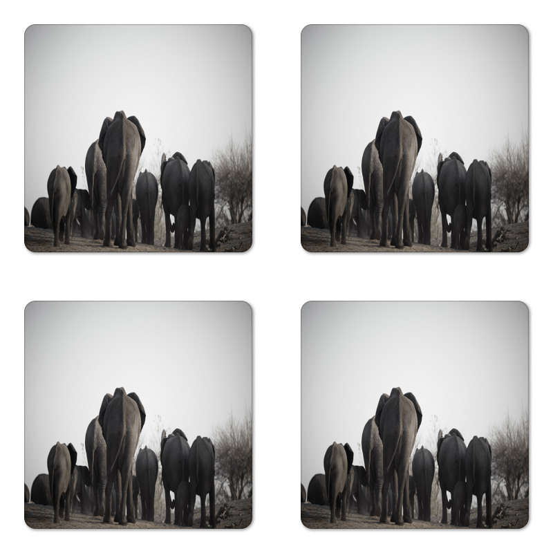 Tropic Wildlife Safari Coaster Set Of Four