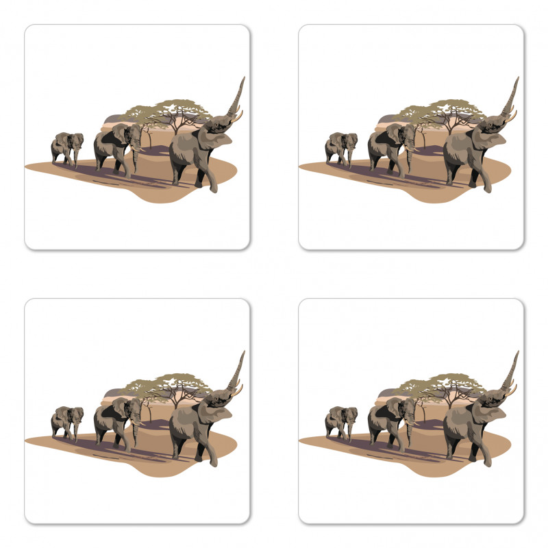 Elephants on Savannah Coaster Set Of Four