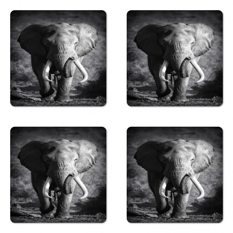 Exotic Wildlife Elephant Coaster Set Of Four