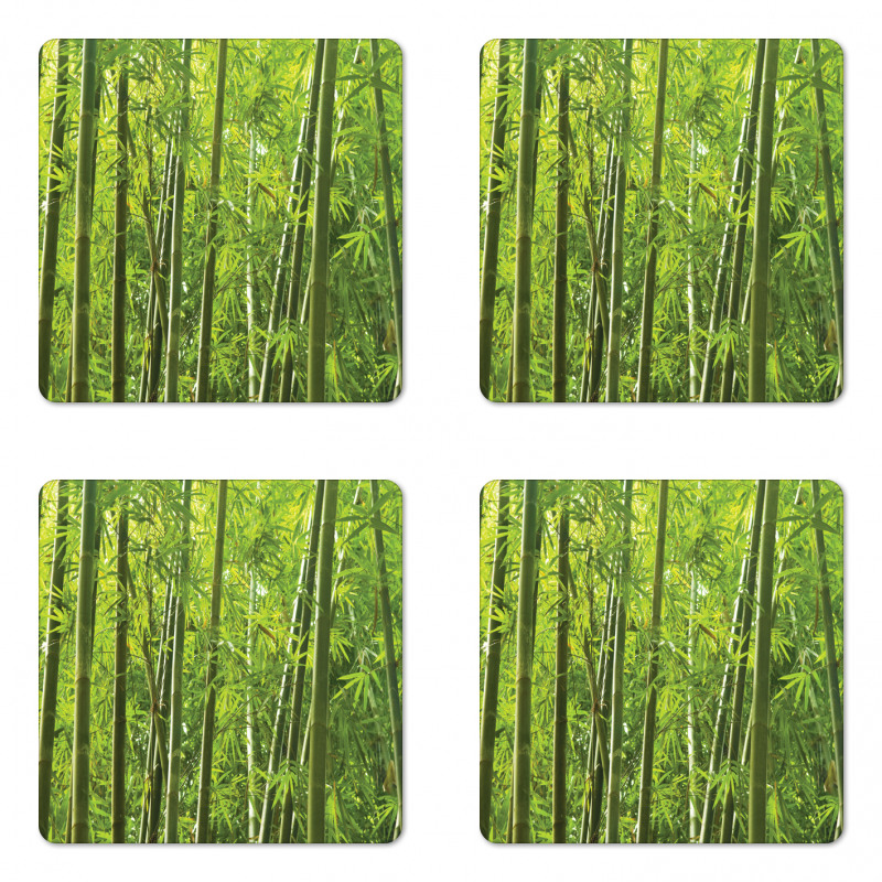 Exotic Tropical Bamboo Coaster Set Of Four