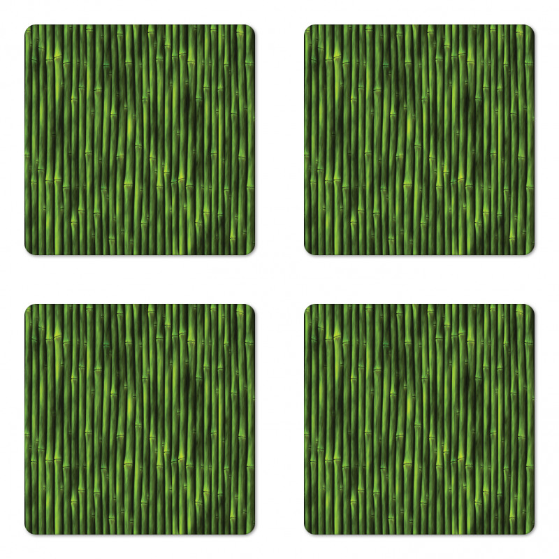 Tropical Bamboo Stems Coaster Set Of Four