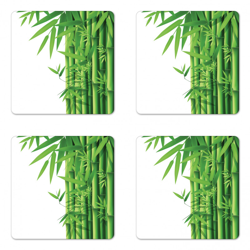 Modern Bamboos Stems Coaster Set Of Four