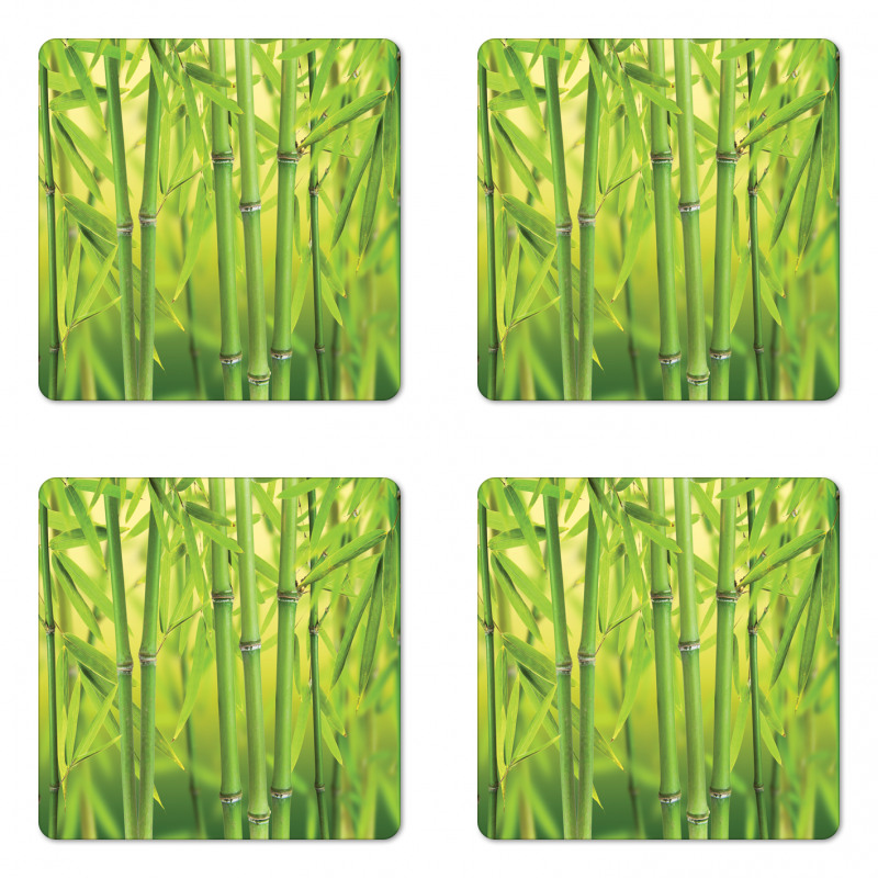 Bamboo Sprout Stem Forest Coaster Set Of Four