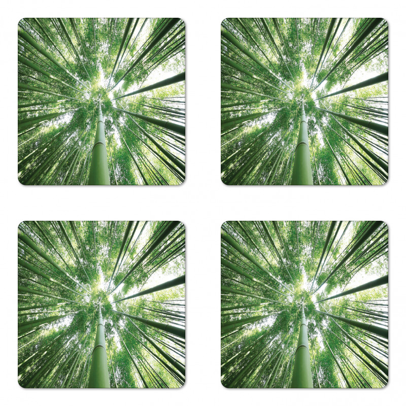 Tropic Rain Forest Bamboo Coaster Set Of Four