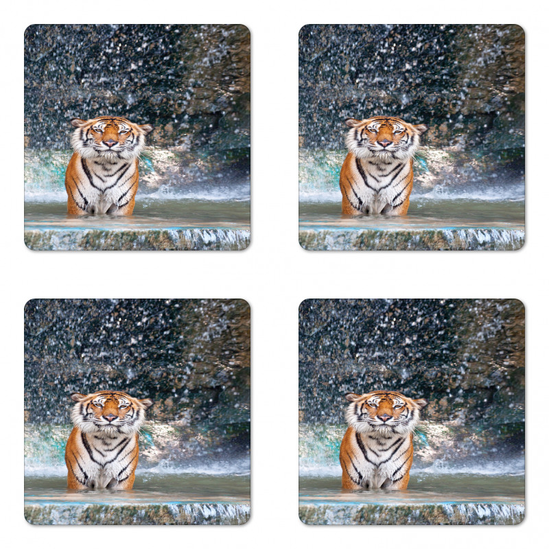 Exotic Wildlife Nature Coaster Set Of Four