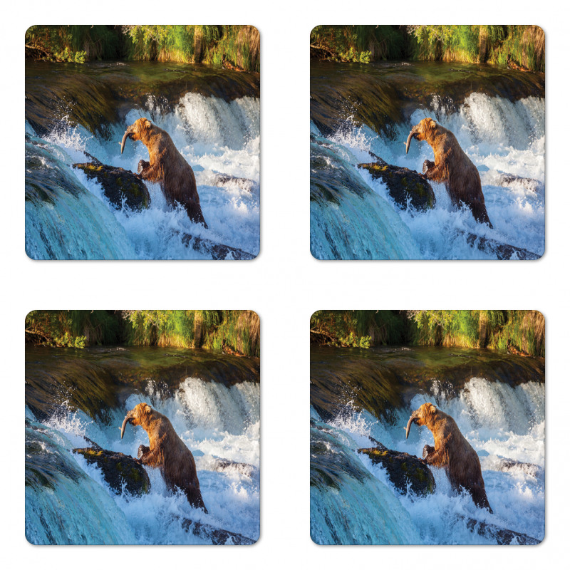 Alaska Waterfall Wildlfie Coaster Set Of Four