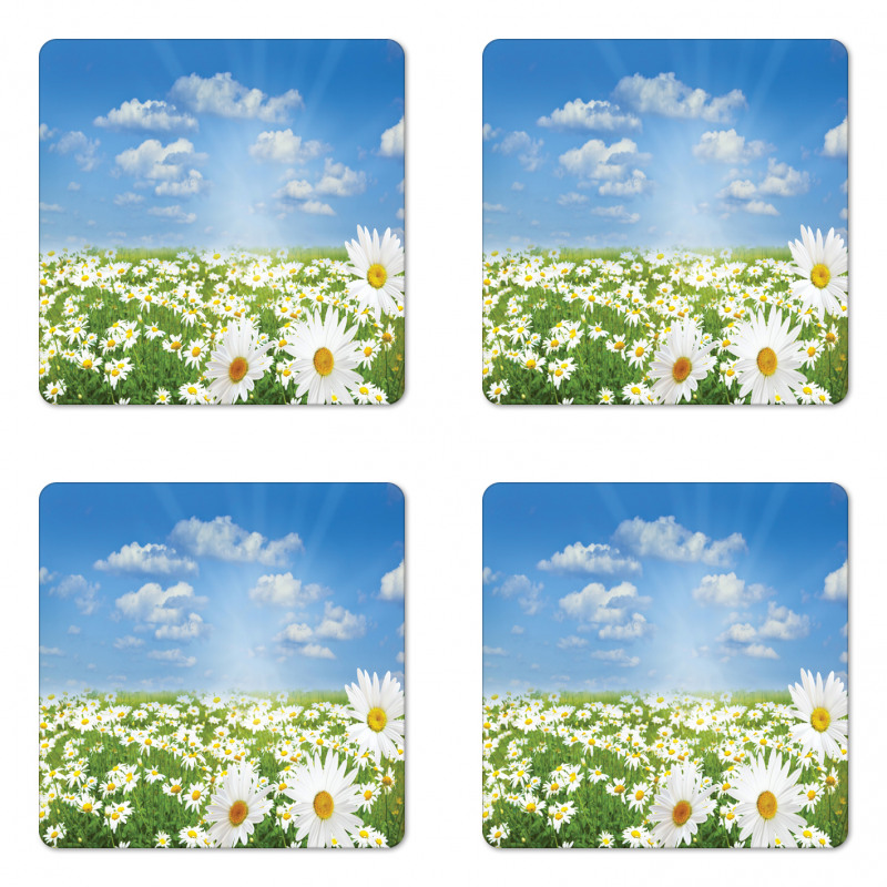 Daisy Spring Meadow Coaster Set Of Four