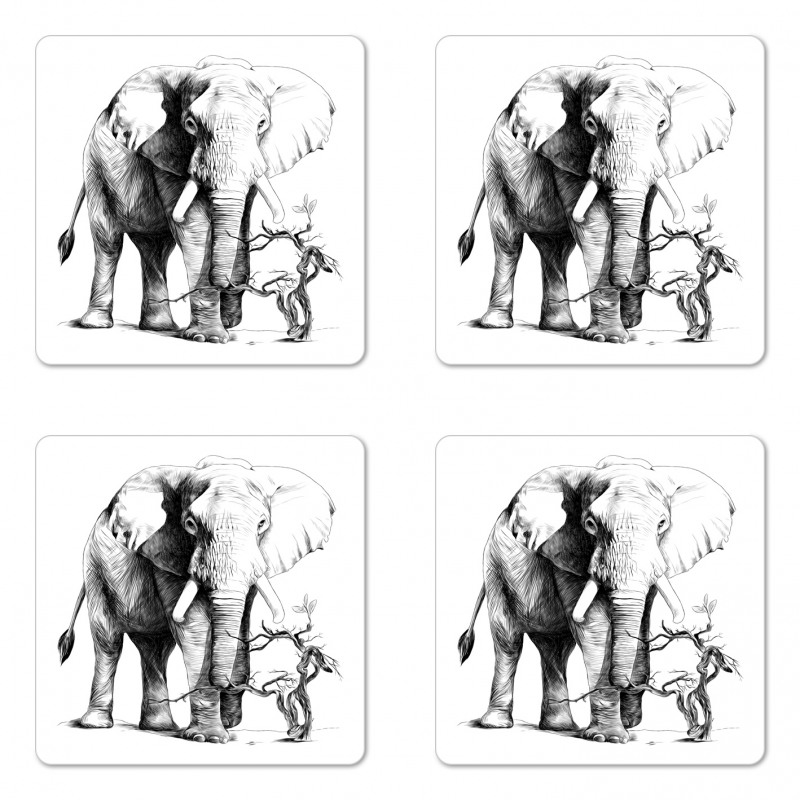 Big Mammal Sketch Coaster Set Of Four