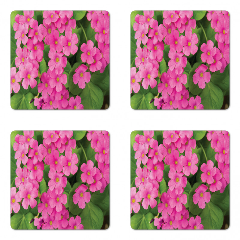 Pinkish Flower and Leaves Coaster Set Of Four