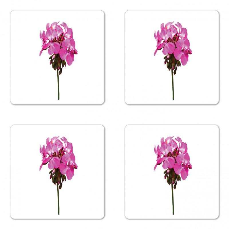 Close Up Photo of Flowers Coaster Set Of Four