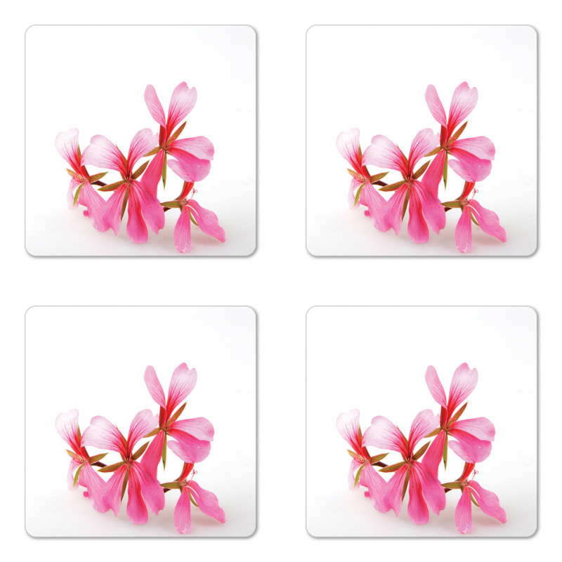 Summer Flower Blossoms Coaster Set Of Four