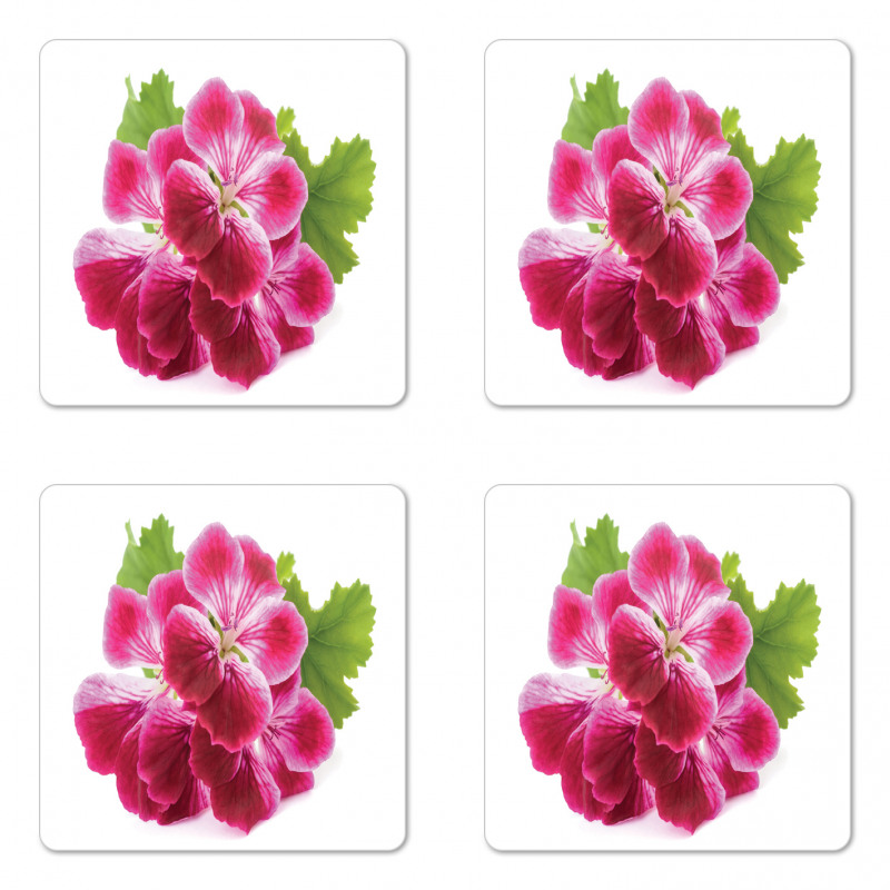 Single Flower Close Up Coaster Set Of Four