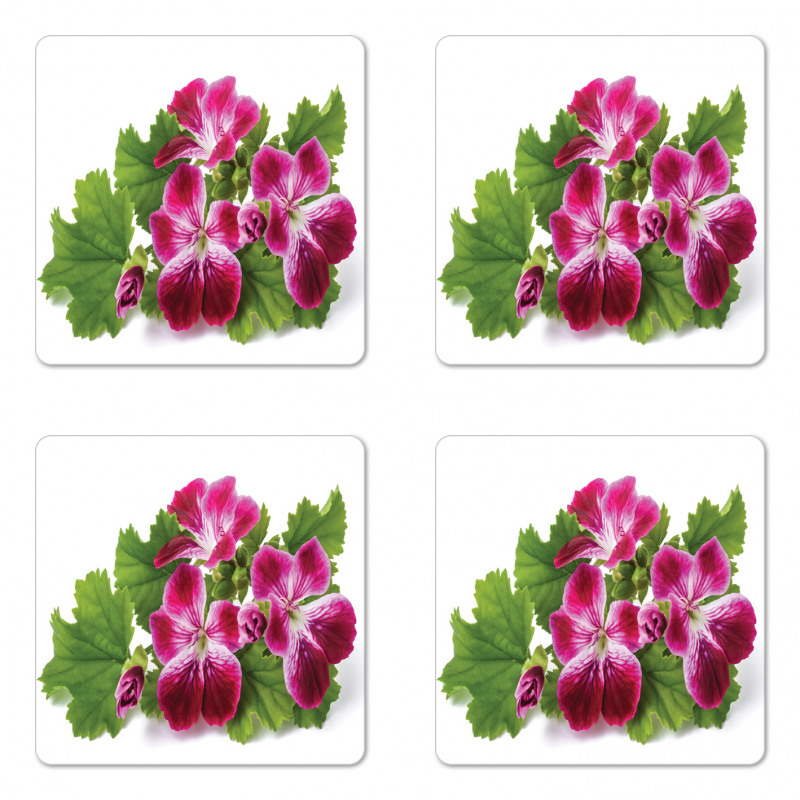 Real Photo of Flowers Coaster Set Of Four