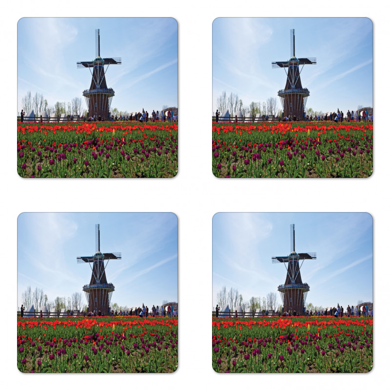 Windmill Photo on Tulip Field Coaster Set Of Four