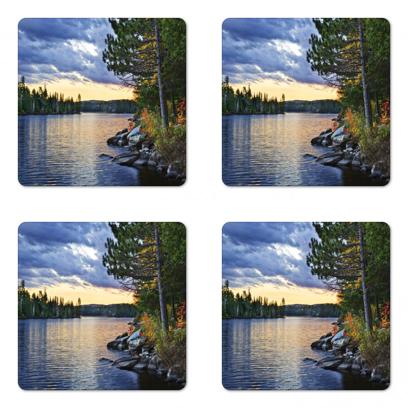 Real Life Forest Photo Coaster Set Of Four