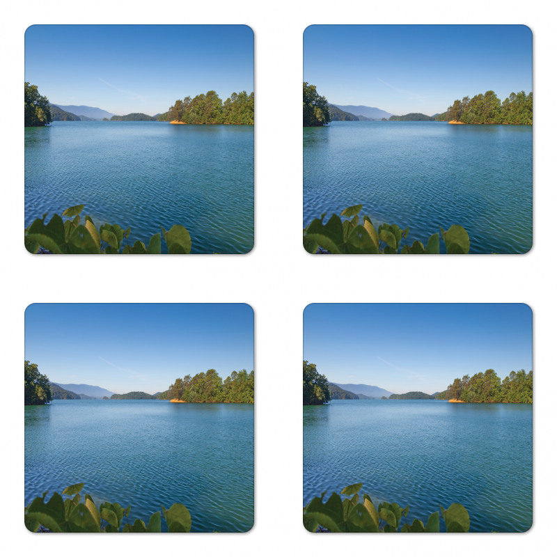 Greenland Forest View Coaster Set Of Four