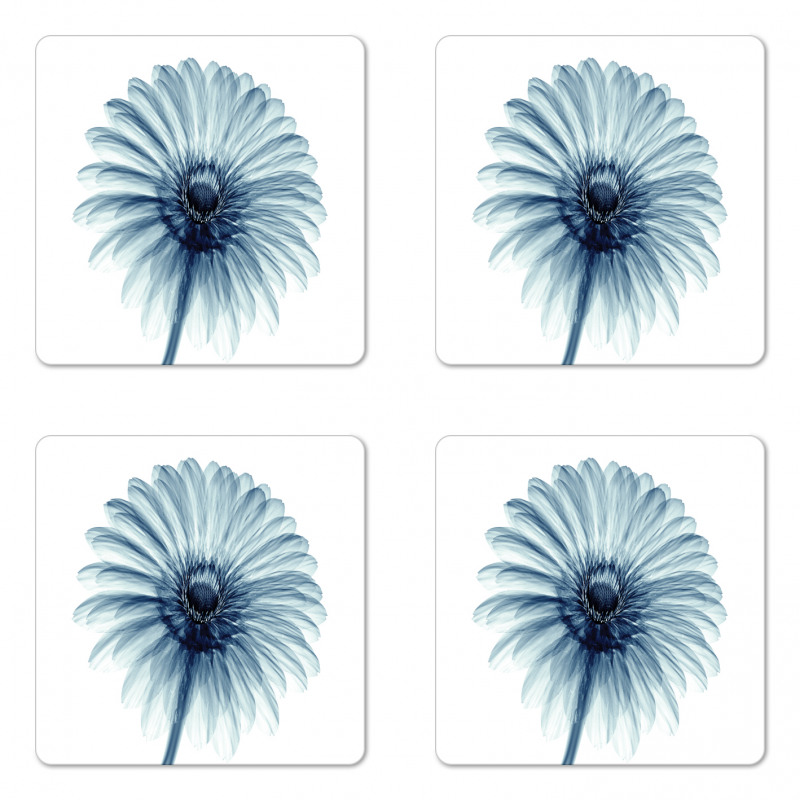 Daisies Flowers Plants Coaster Set Of Four