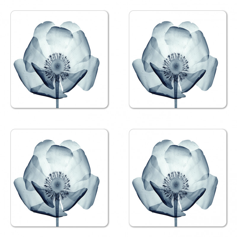 Complex Nature Theme Coaster Set Of Four