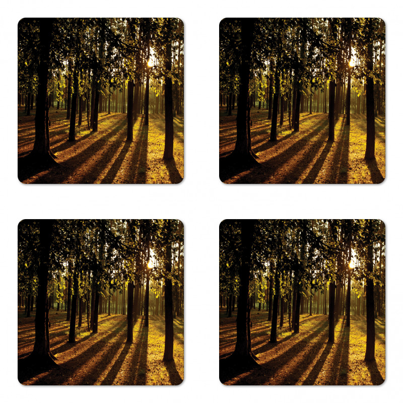 Summertime Forest Tree Coaster Set Of Four