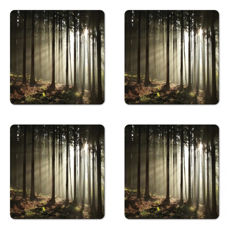 Morning Forest Scenery Coaster Set Of Four
