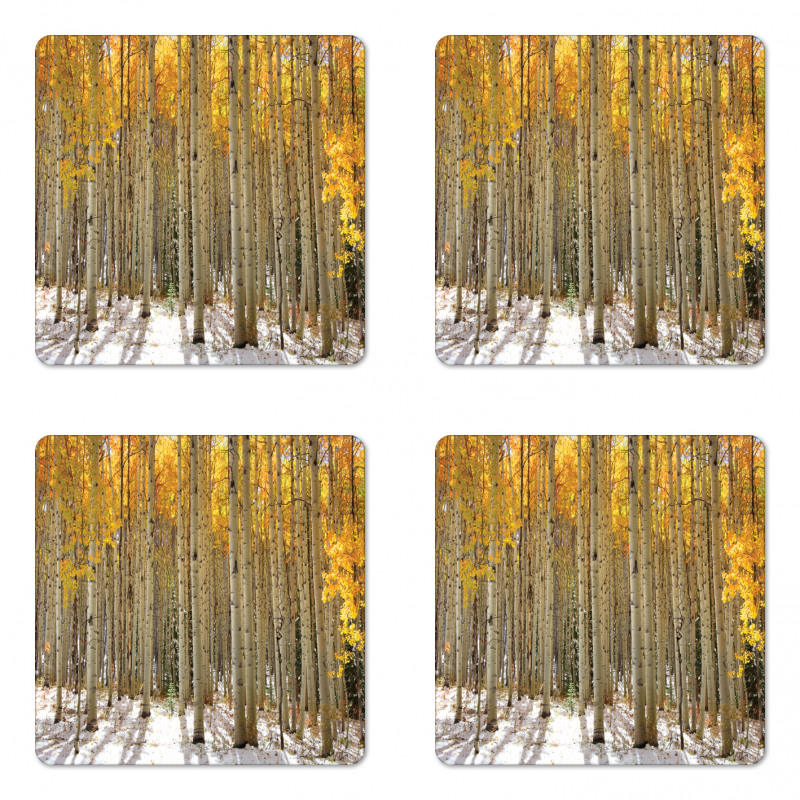Aspen Tree Woods Scenery Coaster Set Of Four