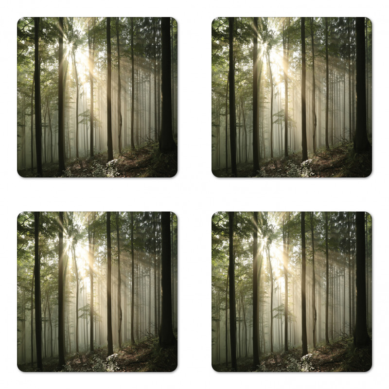 Wild Forest Woodland Coaster Set Of Four