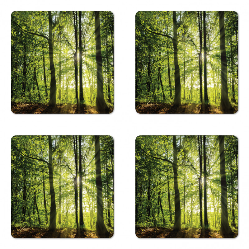 Sunny Forest Springtime Coaster Set Of Four