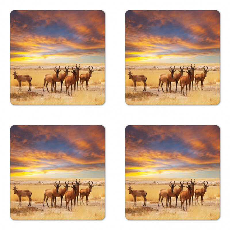 Tropical Animal Coaster Set Of Four