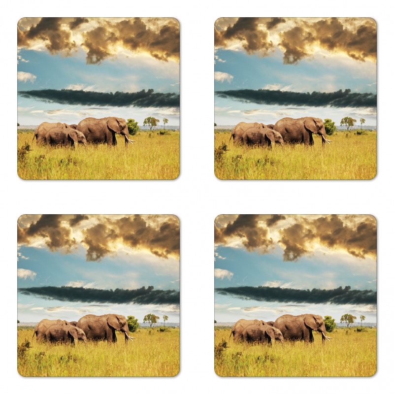 Elephant Family Photo Coaster Set Of Four