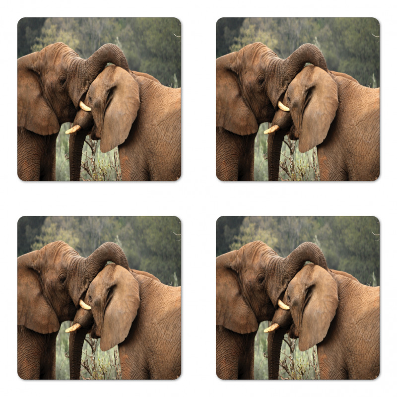 Safari Animals Savanna Coaster Set Of Four