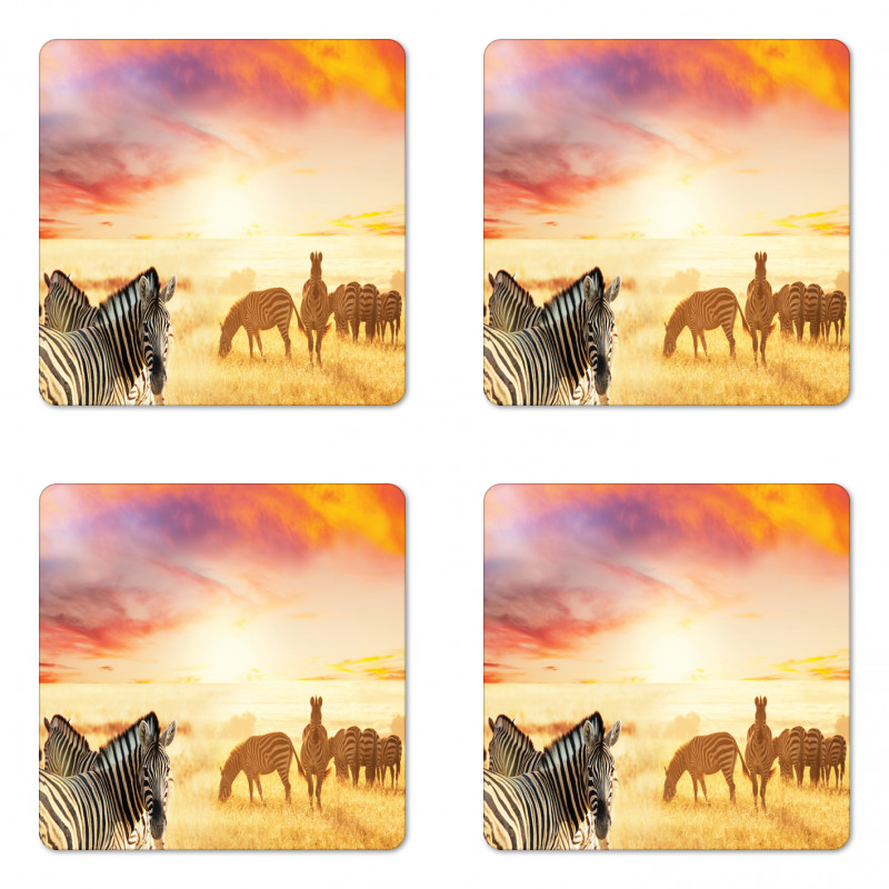 South Wild Zebra Coaster Set Of Four