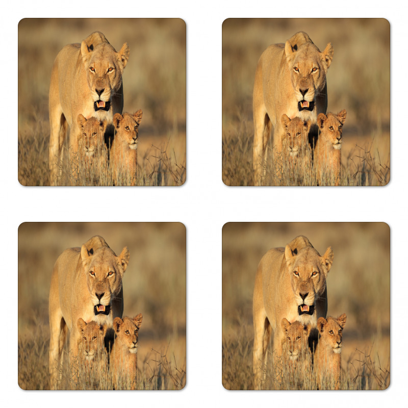 Safari Lions Wilderness Coaster Set Of Four