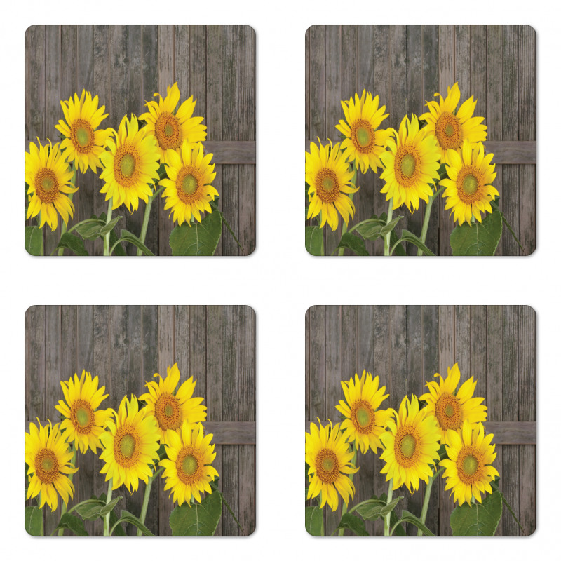 Helianthus Sunflowers Coaster Set Of Four