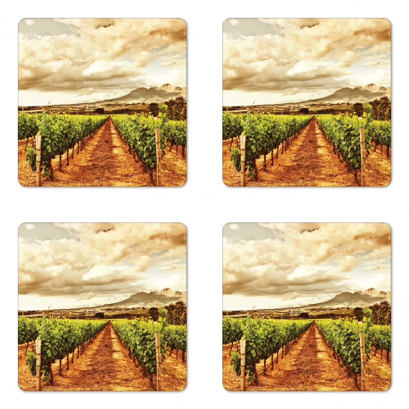 Cloudy Vineyard in Fall Coaster Set Of Four