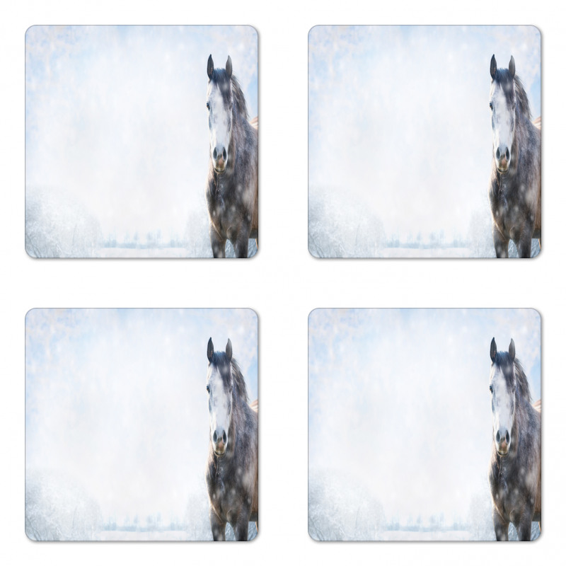 Grey Horse Snow Scenery Coaster Set Of Four