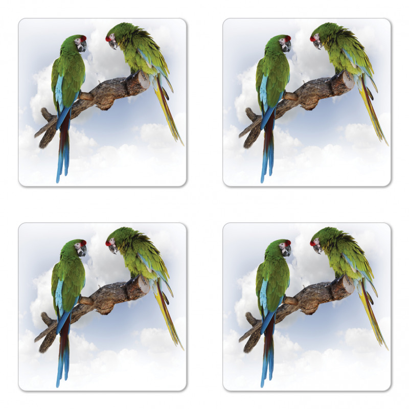 2 Parrot Macaw Bird Coaster Set Of Four