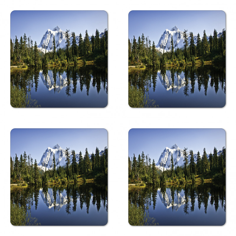 Tree and Snowy Nature Coaster Set Of Four