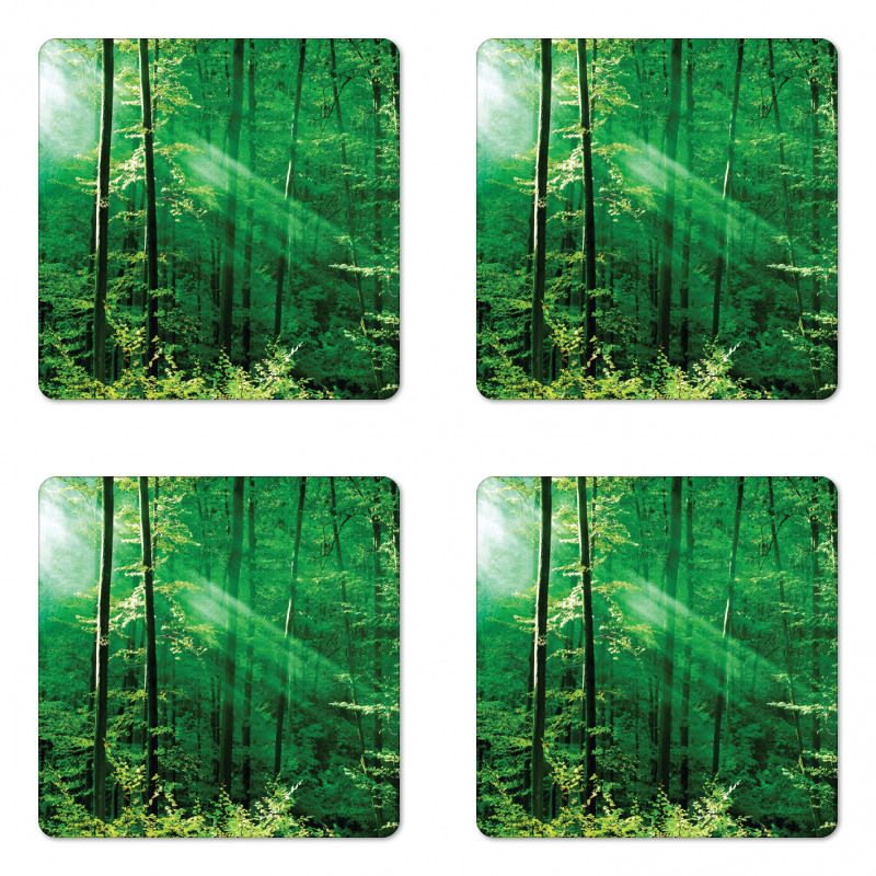 Forest Trees Morning Coaster Set Of Four