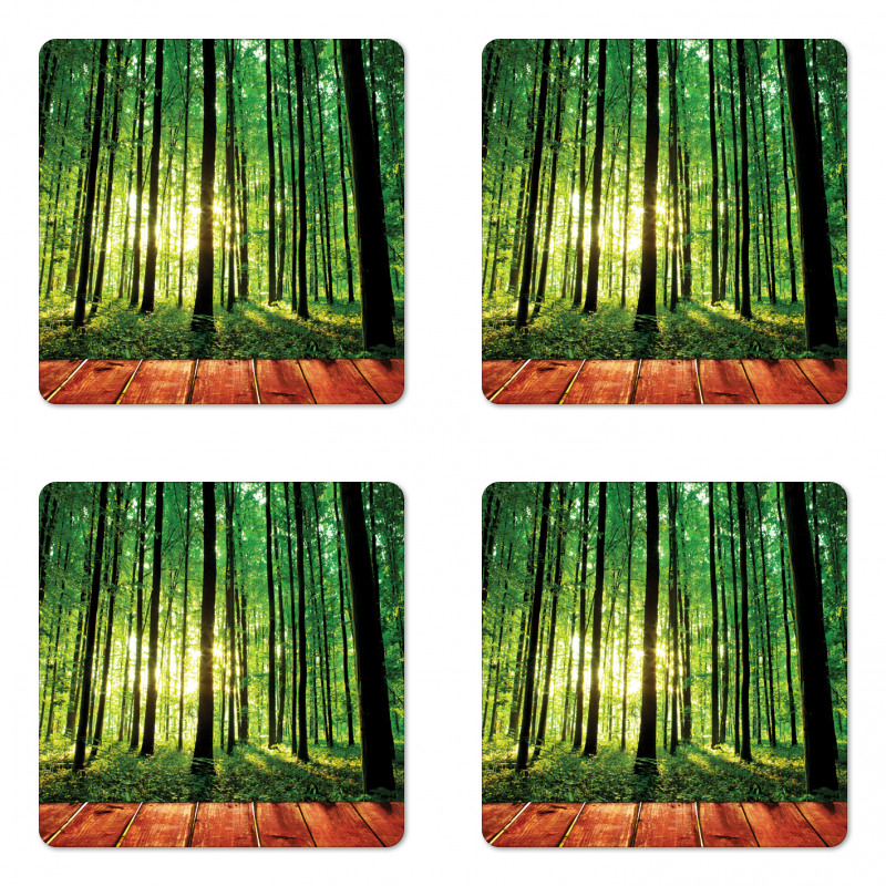 Sunlight Forest Trees Coaster Set Of Four