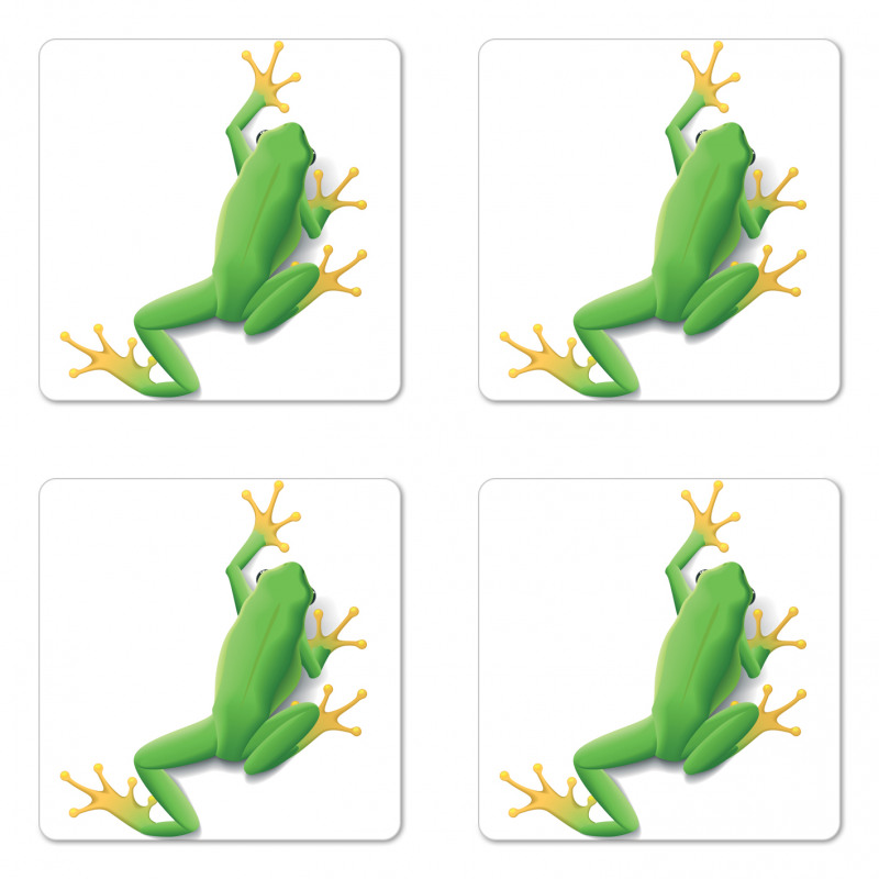 Tropic Frog in Nature Coaster Set Of Four