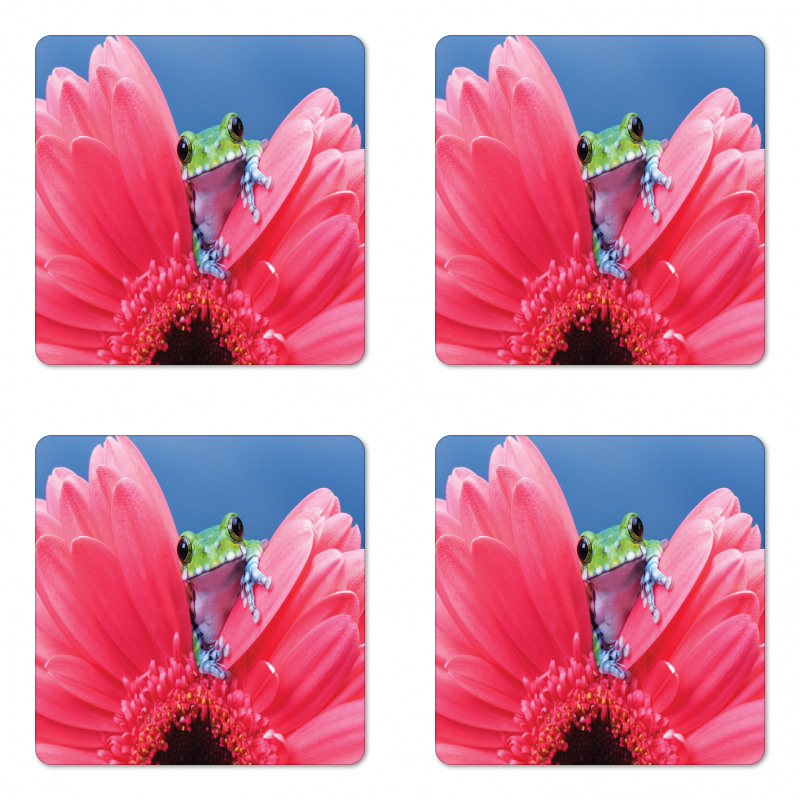 Frog on Gabera Flower Coaster Set Of Four